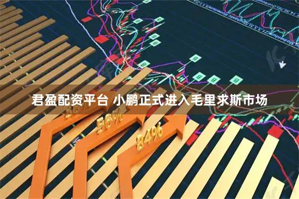 君盈配资平台 小鹏正式进入毛里求斯市场