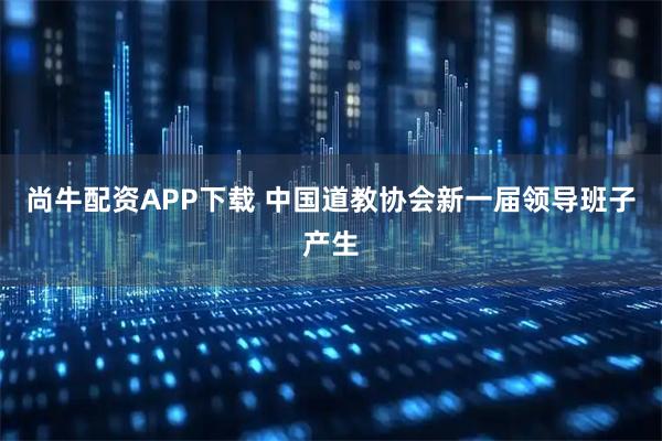 尚牛配资APP下载 中国道教协会新一届领导班子产生