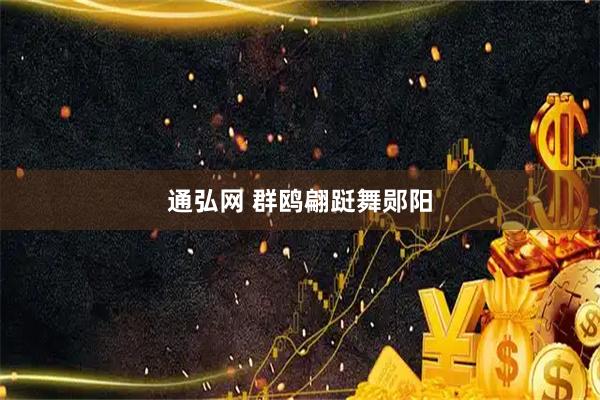 通弘网 群鸥翩跹舞郧阳
